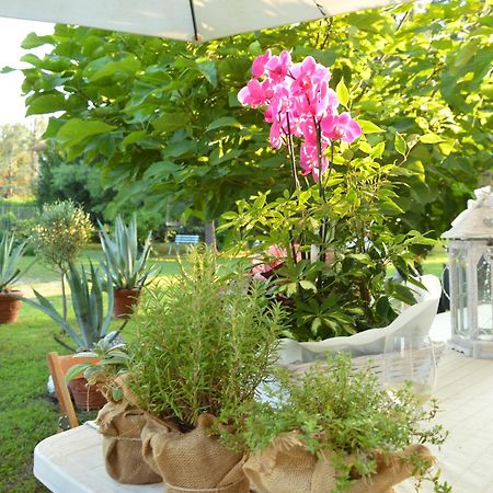 Bed & Tours Dimora Di Campagna Castelnuovo Belbo Exterior foto