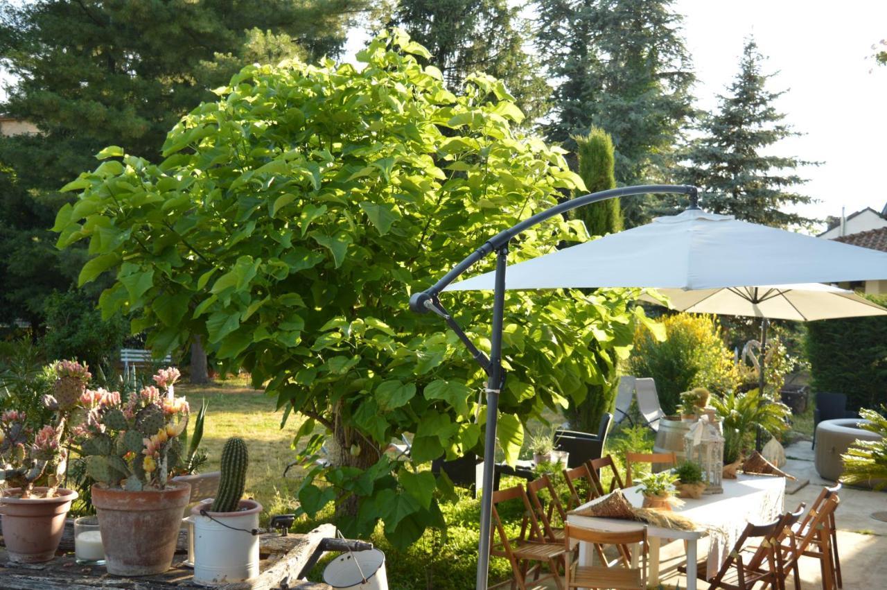 Bed & Tours Dimora Di Campagna Castelnuovo Belbo Exterior foto
