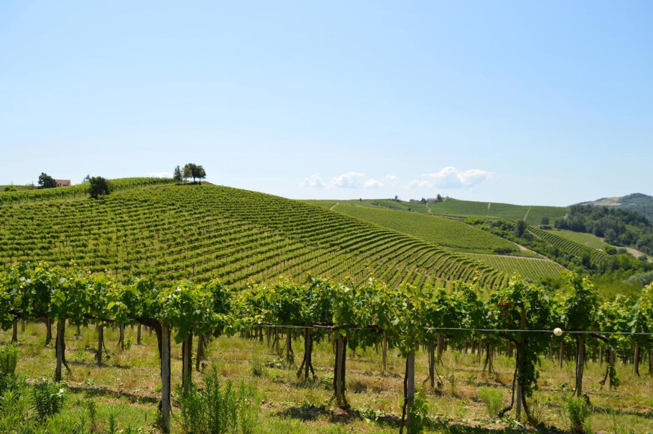 Bed & Tours Dimora Di Campagna Castelnuovo Belbo Exterior foto