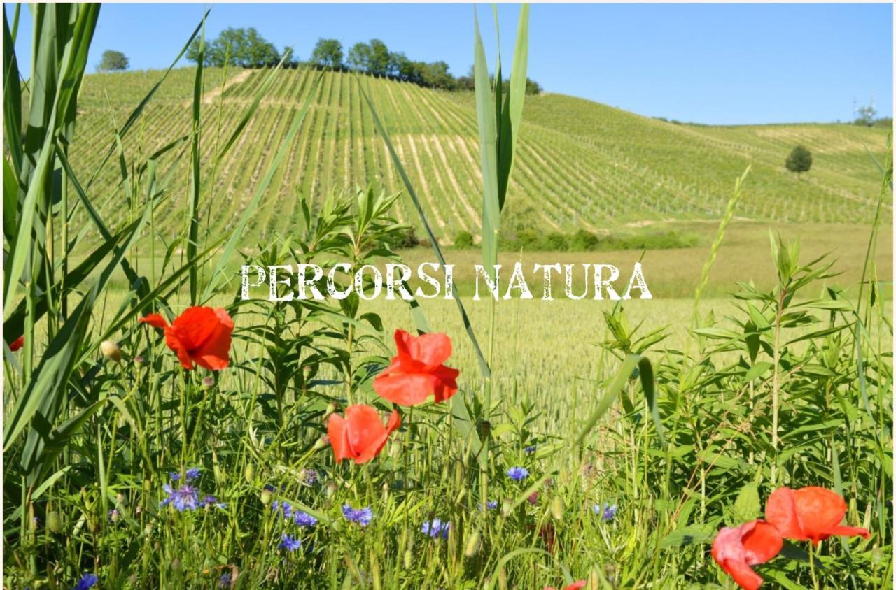 Bed & Tours Dimora Di Campagna Castelnuovo Belbo Exterior foto