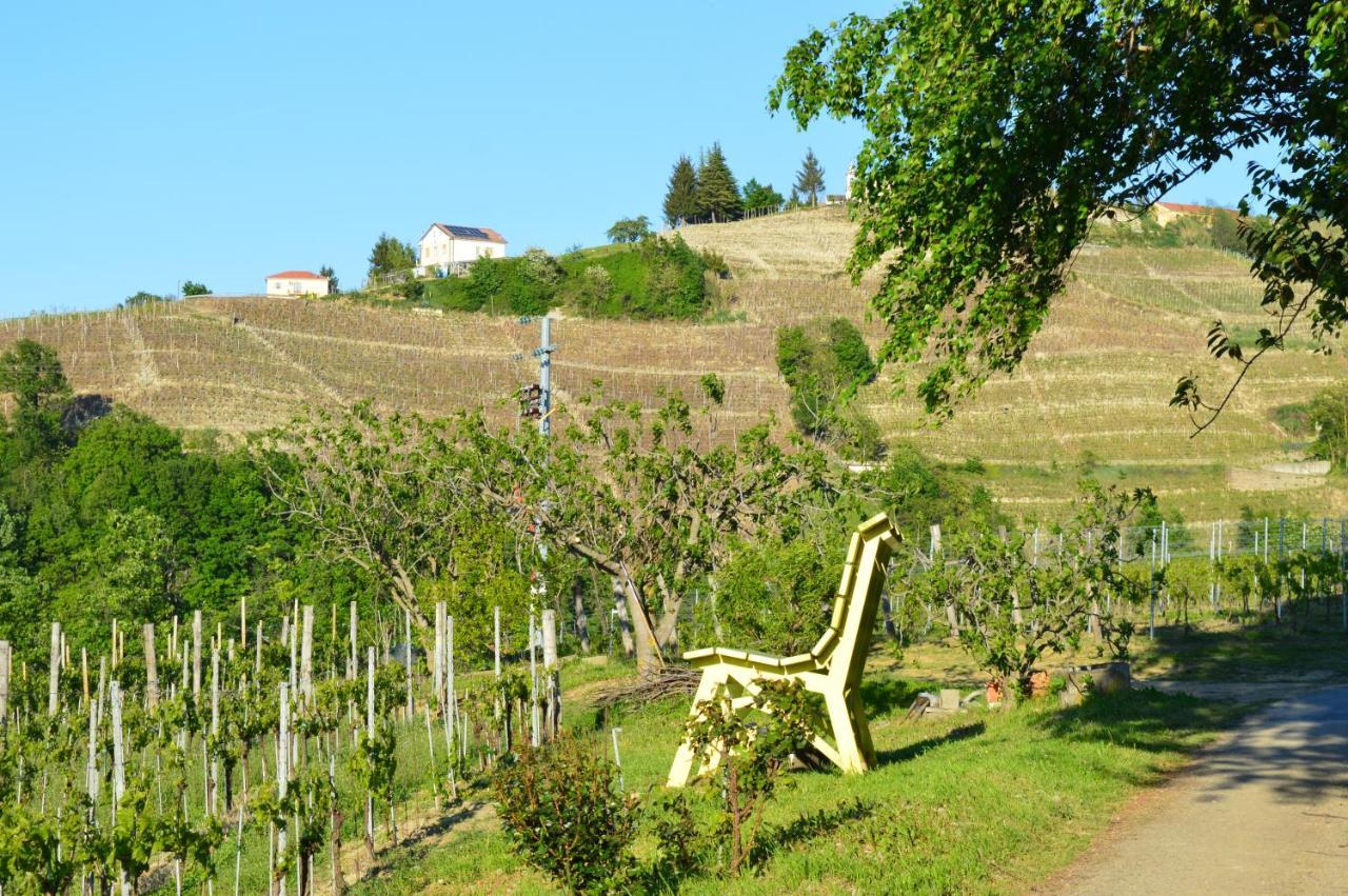 Bed & Tours Dimora Di Campagna Castelnuovo Belbo Exterior foto
