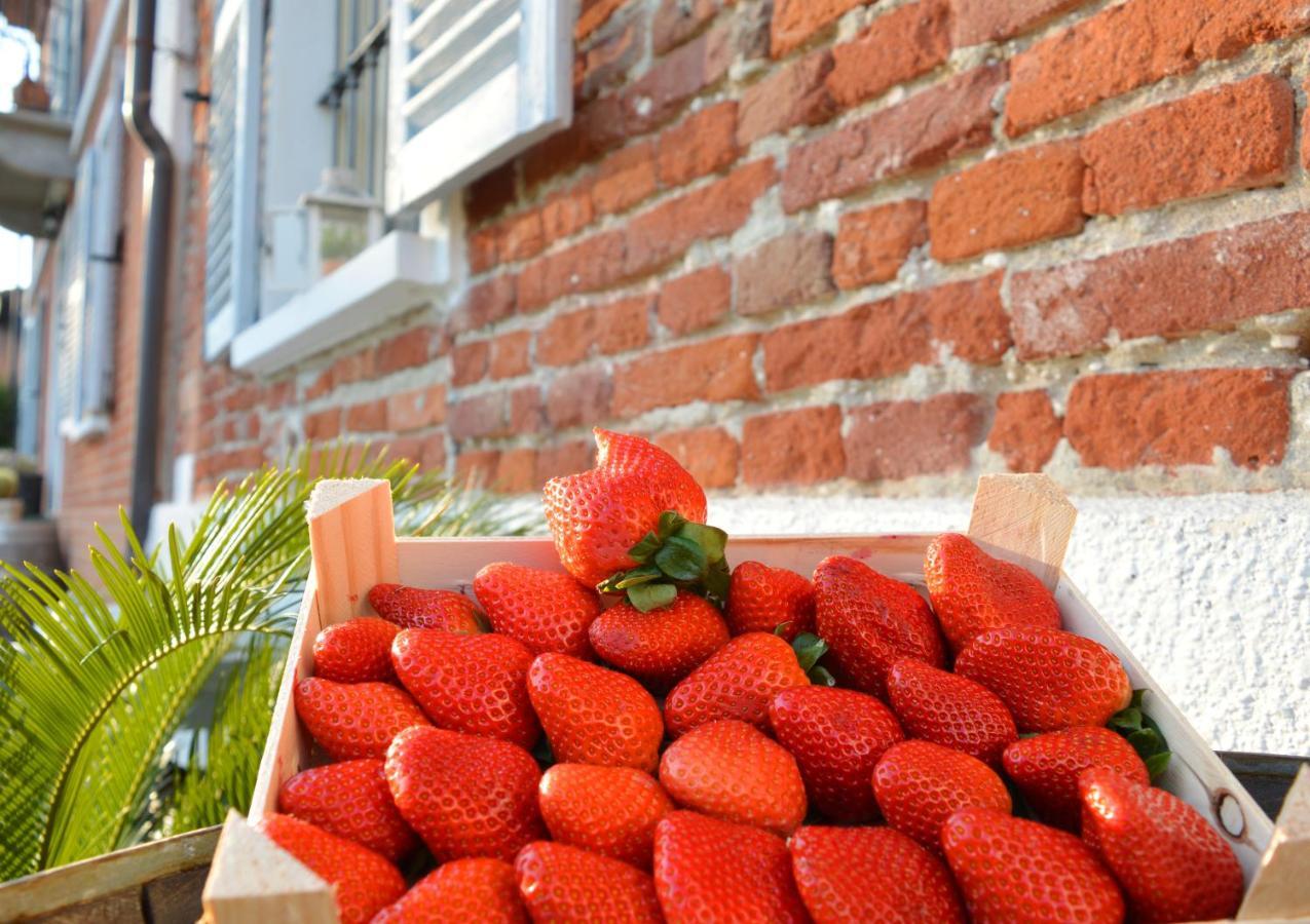 Bed & Tours Dimora Di Campagna Castelnuovo Belbo Exterior foto